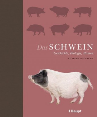 Kniha Das Schwein Jorunn Wissmann
