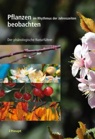 Carte Pflanzen im Rhythmus der Jahreszeiten beobachten Marc Bonhomme