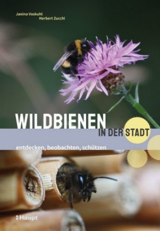 Carte Wildbienen in der Stadt Herbert Zucchi
