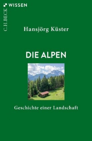 Kniha Die Alpen Hansjörg Küster