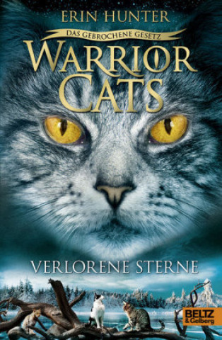 Kniha Warrior Cats Staffel 7/01 - Das gebrochene Gesetz - Verlorene Sterne Friederike Levin