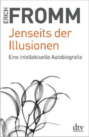 Kniha Jenseits der Illusionen Ernst Mickel
