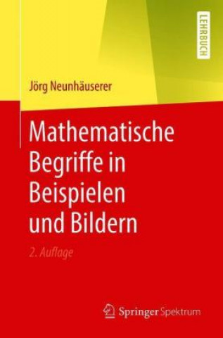 Könyv Mathematische Begriffe in Beispielen Und Bildern 