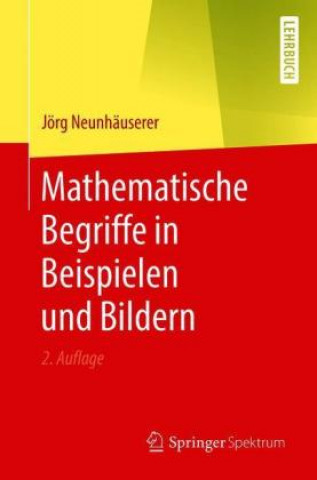 Book Mathematische Begriffe in Beispielen Und Bildern 