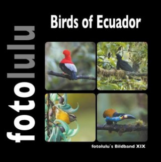 Carte Birds of Ecuador 