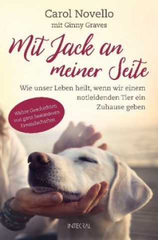 Kniha Mit Jack an meiner Seite Ginny Graves