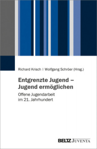 Könyv Entgrenzte Jugend - Offene Jugendarbeit Wolfgang Schröer