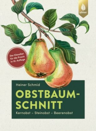 Kniha Obstbaumschnitt Heiner Schmid
