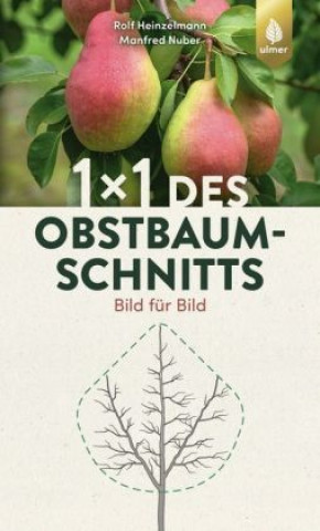 Könyv 1 x 1 des Obstbaumschnitts Manfred Nuber
