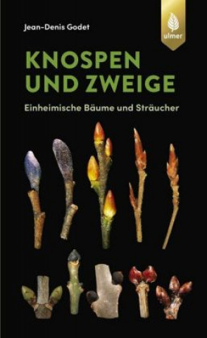 Kniha Knospen und Zweige 
