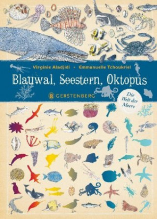 Könyv Blauwal, Seestern, Oktopus Emmanuelle Tchoukriel