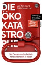Könyv Die Öko-Katastrophe Dirk Pohlmann