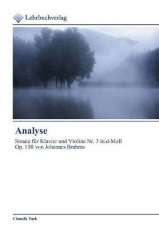 Книга Analyse Chansik Park