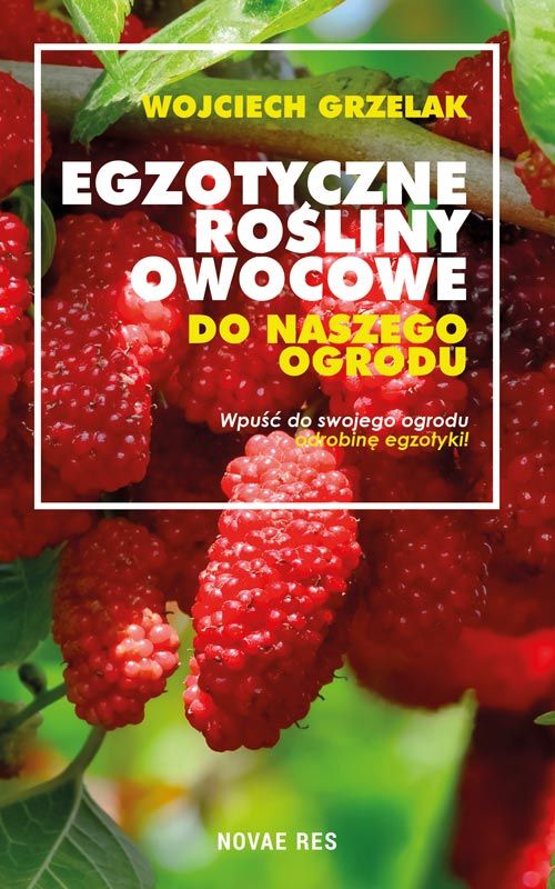 Kniha Egzotyczne rośliny owocowe do naszego ogrodu Wojciech Grzelak