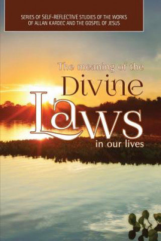 Book The Meaning of The Divine Laws In Our Lives: Series of Self-Reflective Studies of the Works of Allan Kardec And The Gospel of Jesus 