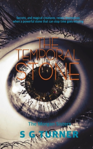 Boek Temporal Stone Sg Turner