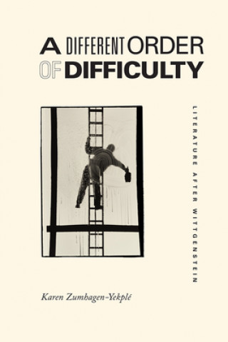 Knjiga Different Order of Difficulty Karen Zumhagen-Yekple