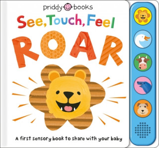 Kniha See, Touch, Feel: Roar: A First Sensory Book 