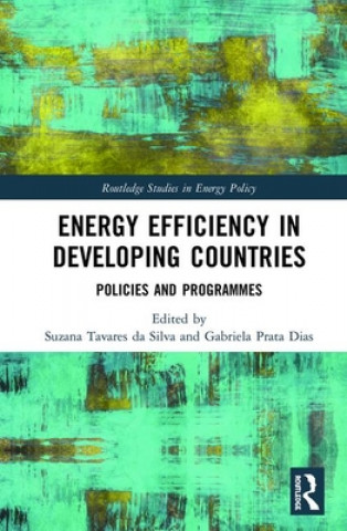 Knjiga Energy Efficiency in Developing Countries Gabriela Prata Dias