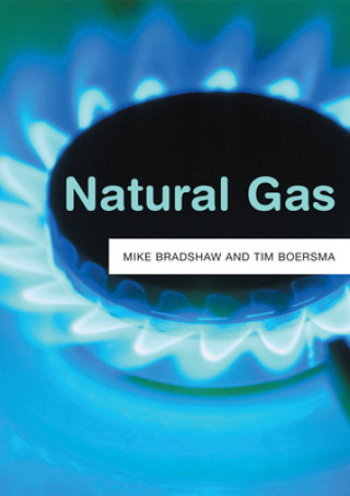 Buch Natural Gas Michael J. Bradshaw