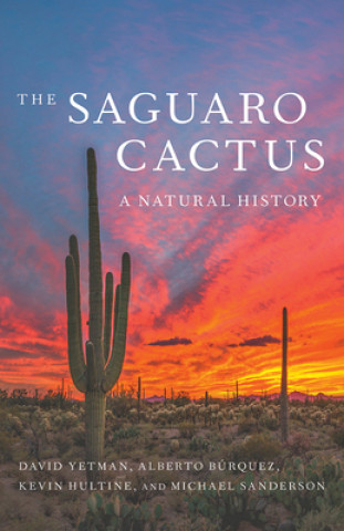 Carte Saguaro Cactus Alberto Burquez