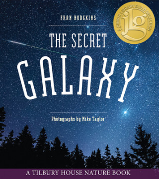 Kniha Secret Galaxy Mike Taylor