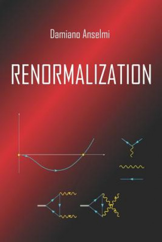 Knjiga Renormalization Damiano Anselmi