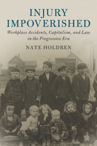 Kniha Injury Impoverished Holdren