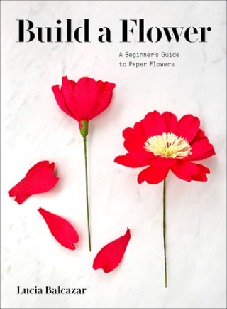 Könyv Build a Flower Lucia Balcazar