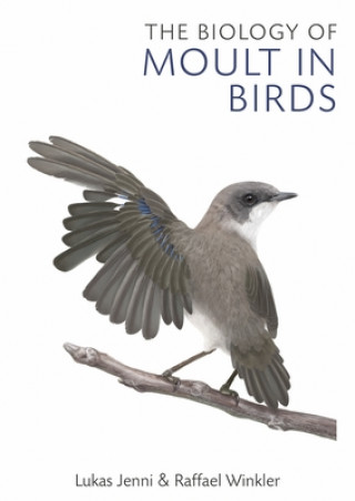 Kniha Biology of Moult in Birds Lukas Jenni
