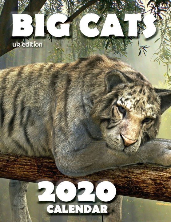 Libro Big Cats 2020 Calendar (UK Edition) Wall Publishing UK