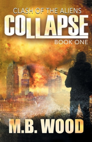 Kniha Collapse M. B. Wood