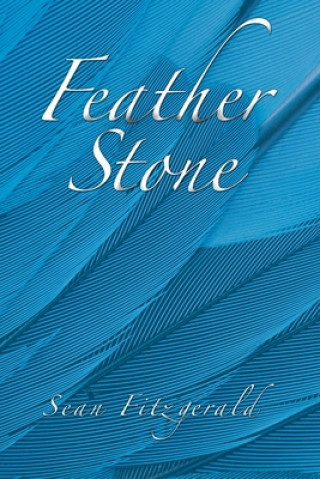 Book Feather Stone Sean Fitzgerald