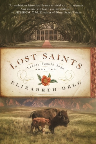 Knjiga Lost Saints Elizabeth Bell
