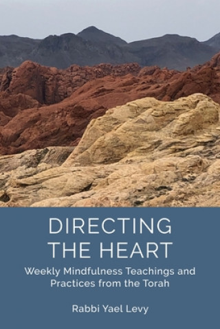Knjiga Directing the Heart Rabbi Yael Levy