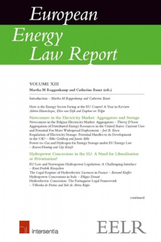 Kniha European Energy Law Report XIII 