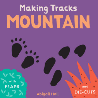 Knjiga Mountain Abi Hall
