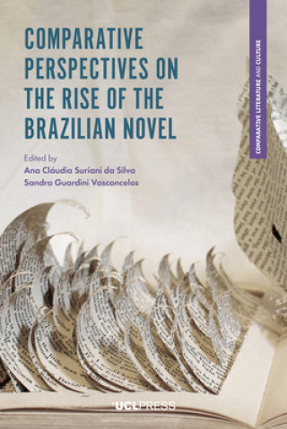 Kniha Comparative Perspectives on the Rise of the Brazilian Novel 