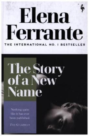 Kniha Story of a New Name Elena Ferrante