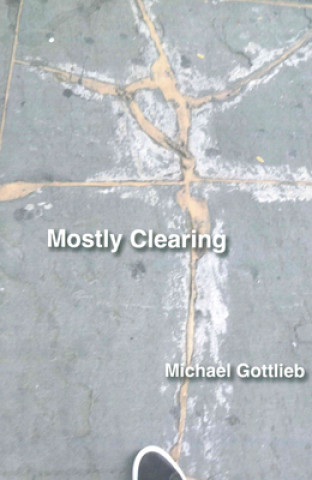 Knjiga Mostly Clearing Gottlieb