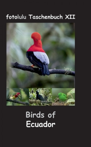 Carte Birds of Ecuador 