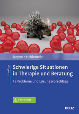 Könyv Schwierige Situationen in Therapie und Beratung, m. 1 Buch, m. 1 E-Book Alexander Noyon