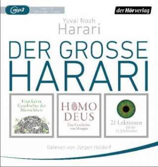 Audio Der große Harari, 6 Audio-CD, 6 MP3 Yuval Noah Harari