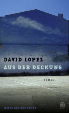 Kniha Aus der Deckung Holger Fock
