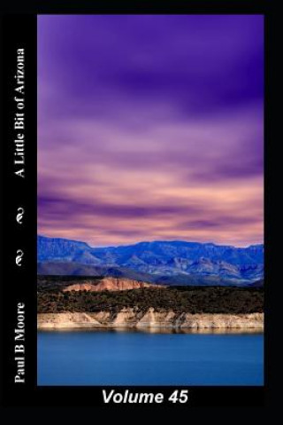 Kniha A Little Bit of Arizona: Volume 45 Paul B Moore