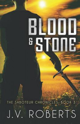 Könyv Blood & Stone J V Roberts