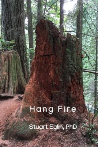 Knjiga Hang Fire Stuart Eglin