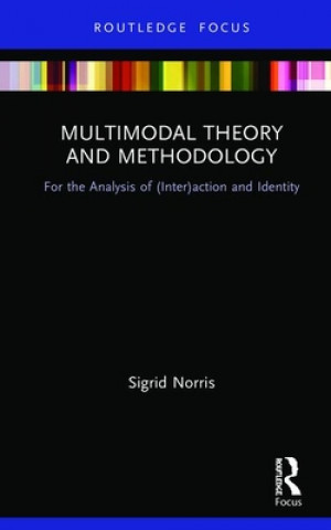 Boek Multimodal Theory and Methodology Sigrid Norris