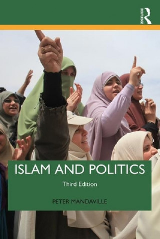 Könyv Islam and Politics (3rd edition) Mandaville