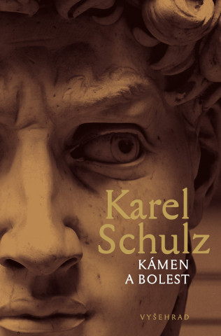 Kniha Kámen a bolest Karel Schulz